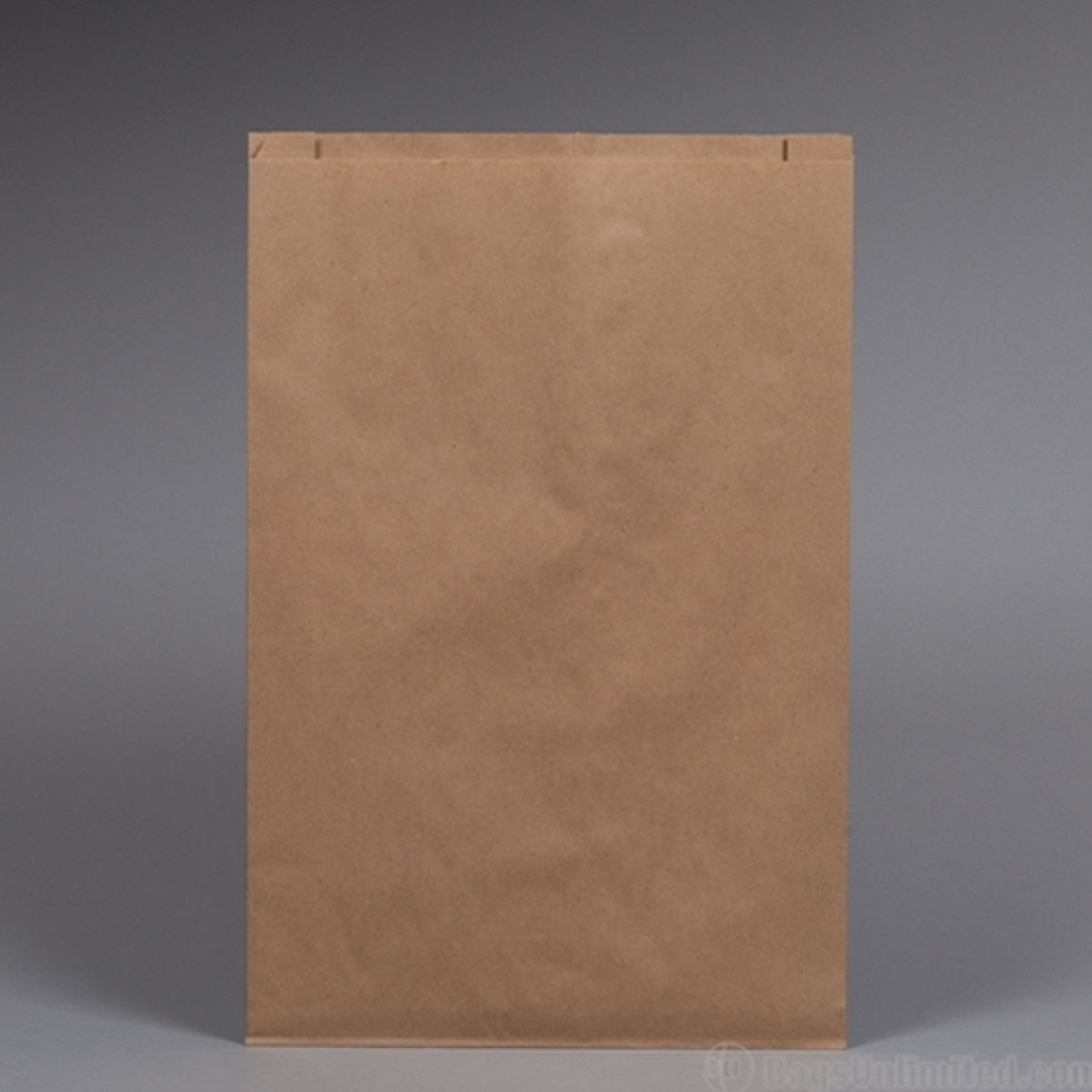 Natural Kraft Paper Bag 16 x 3-3/4